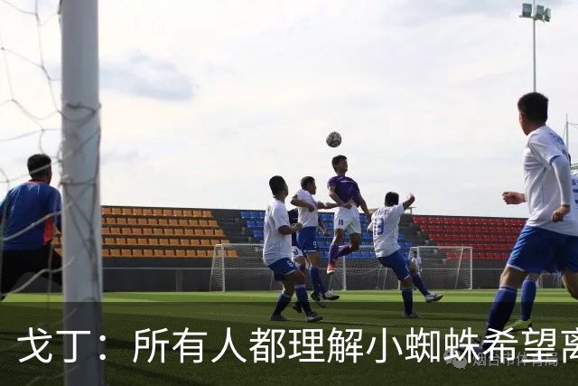 戈丁：所有人都理解小蜘蛛希望离队的想法，但他的处理方式做错了